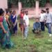 सिदगोड़ा स्थित इग्नू में नामांकन 31 अगस्त तक, स्टडी सेंटर में किया गया वृक्षारोपण सिदगोड़ा स्थित इग्नू में नामांकन 31 अगस्त तक, स्टडी सेंटर में किया गया वृक्षारोपण