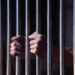 jamshedpur-crime-diary-जमशेदपुर क्राइम डायरी-case-1-बिरसानगर में मारपीट कर चांदी की चेन छीनी , case-2-बिरसानगर में मारपीट व जाति सूचक अपशब्द कहने का मामला दर्ज, case-3-सीतारामडेरा में दो पक्षों में जमकर मारपीट, case-4-बिरसानगर में सरकारी जमीन का हो रहा अतिक्रमण, सीओ ने तीन लोगों पर कराया केस