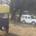 saraikela-suspected-death-कांड्रा में युवक का शव पेड़ पर झूलता मिला, इलाके में सनसनी
