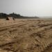 jamshedpur-illegal-mining-बहरागोड़ा में अवैध बालू का उठाव, जहां मिट्टी का कटाव, वहीं बालू का अवैध खनन, महुलडांगरी घाट से रात में होता है बालू का उठाव