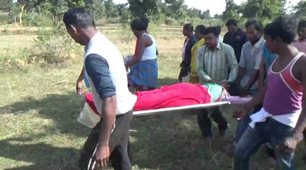 saraikela-elephant-attack-ईंचागढ़ में हाथी ने महिला और बच्ची को कुचला, महिला की मौत saraikela-elephant-attack-ईंचागढ़ में हाथी ने महिला और बच्ची को कुचला, महिला की मौत