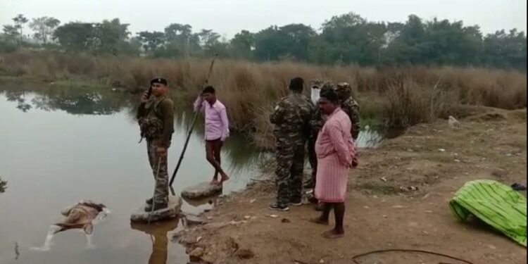 Saraikela : दुगनी पुलिस लाइन में आर्मर दिलीप कुमार सिंह के पार्थिव शरीर को दिया गया गार्ड ऑफ ऑनर
