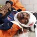 jamshedpur-accident-बर्मामाइंस में ऑटो ने खड़े ट्रेलर में मारी टक्कर, ऑटो सवार महिला घायल