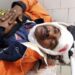 jamshedpur-accident-मानगो के डिमना रोड में ट्रेलर से टकराई ऑटो, चालक समेत ठेका कर्मी घायल