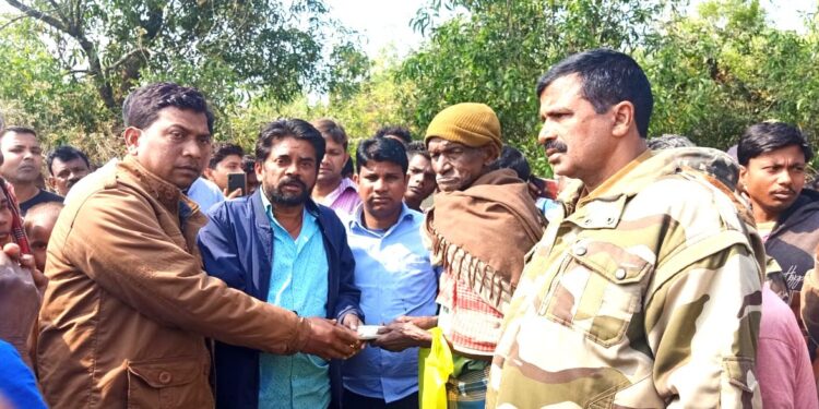 jharkhand-elephant-death-पश्चिम सिंहभूम जिले में करंट लगने से हाथी की मौत, 6 माह में 5 हाथियों की मौत, वन विभाग का सिस्टम फेल