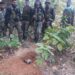 saraikela-kharsawa-police-success-सरायकेला-खरसावां पुलिस को उड़ाने की कोशिश, पुलिस अफीम की खेती बरबाद करने जा रही थी, रोकने के लिए लगाये गये थे चार केन बम, बम निकालकर पहले नष्ट किया, फिर निकले मिशन पर, मिली कामयाबी, पुलिस ने बरबाद की 3 एकड़ में फैले अफीम की खेती-देखिये video saraikela-kharsawa-police-success-सरायकेला-खरसावां पुलिस को उड़ाने की कोशिश, पुलिस अफीम की खेती बरबाद करने जा रही थी, रोकने के लिए लगाये गये थे चार केन बम, बम निकालकर पहले नष्ट किया, फिर निकले मिशन पर, मिली कामयाबी, पुलिस ने बरबाद की 3 एकड़ में फैले अफीम की खेती-देखिये video