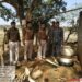 west-singhbhum-होली को लेकर जगन्नाथपुर में चला अवैध शराब की भट्टियों को नष्ट करने का अभियान, बड़े पैमाने पर शराब नष्ट