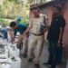jamshedpur-illegal-sanitizer-जमशेदपुर में डुप्लीकेट सैनिटाइजर का चल रहा था कारोबार, बर्मामाइंस और जुगसलाई के बाद जादूगोड़ा में पकड़ाया नकली सैनिटाइजर बनाने वाली कंपनी jamshedpur-illegal-sanitizer-जमशेदपुर में डुप्लीकेट सैनिटाइजर का चल रहा था कारोबार, बर्मामाइंस और जुगसलाई के बाद जादूगोड़ा में पकड़ाया नकली सैनिटाइजर बनाने वाली कंपनी