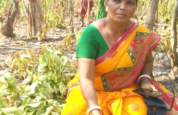 चाकुलिया के मधुपुर साल जंगल में ग्रामीणों ने दर्जनों पेड़ काटे, वन सुरक्षा समिति सदस्यों ने किया जब्त चाकुलिया के मधुपुर साल जंगल में ग्रामीणों ने दर्जनों पेड़ काटे, वन सुरक्षा समिति सदस्यों ने किया जब्त