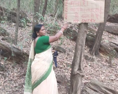 चाकुलिया : मुटुरखाम के बेड़ाडीह जंगल में प्रवेश निषेध पकड़े गये तो देना होगा 5001 रुपये जुर्माना