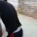 jamshedpur-murder-मानगो में मारे गये युवक पर हमले का video देखिए, पुलिस ने दो को किया गिरफ्तार jamshedpur-murder-मानगो में मारे गये युवक पर हमले का video देखिए, पुलिस ने दो को किया गिरफ्तार