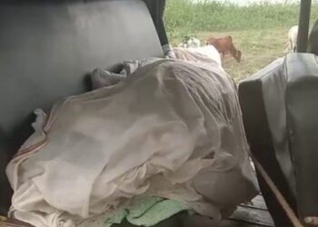 Saraikela-elephant-attack : सरायकेला-खरसावां जिले में जंगली हाथियों का तांडव, सोड़ो जारगोडीह निवासी किसान की ले ली जान, सनसनी