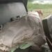 Saraikela-elephant-attack : सरायकेला-खरसावां जिले में जंगली हाथियों का तांडव, सोड़ो जारगोडीह निवासी किसान की ले ली जान, सनसनी