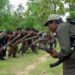west-singhbhum-naxal-murder-पश्चिम सिंहभूम के गुदड़ी जंगल में नक्सलियों में आपसी गोलीबारी, पीएलएफआई सदस्य ने कर दी अपने ही समर्थक की गोली मार कर हत्या