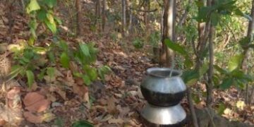 west-singhbhum-search-operation-पश्चिम सिंहभूम के नक्सल विरोधी सर्च अभियान में आईईडी ब्लास्ट, कोबरा बटालियन का जवान गंभीर रुप से घायल, जंगल से 10 आईईडी बरामद