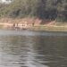 jharkhand-illegal-mining-आदित्यपुर नदी किनारे में लॉकडाउन के बीच अवैध कारोबार, बालू की हो रही तस्करी, पुलिस व प्रशासन क्यों आंखें बंद रखी है