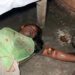 jamshedpur-news1-परसुडीह में महिला पंखा साफ कर रही थी, अचानक पंखा में करंट आ गया, महिला की मौत, news2-परसुडीह में पड़ोसियों ने घर मे घुसकर मारपीट की, गोलियां चलाई jamshedpur-news1-परसुडीह में महिला पंखा साफ कर रही थी, अचानक पंखा में करंट आ गया, महिला की मौत, news2-परसुडीह में पड़ोसियों ने घर मे घुसकर मारपीट की, गोलियां चलाई