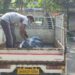 jamshedpur-suspected-death-बिष्टुपुर जी टाउन क्लब के मैनेजर की निकाली गई लाश, सिर में है गंभीर चोट, हत्या या दुर्घटना, जांच शुरू