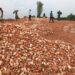 jharkhand-government-initiative-झारखंड के खनन क्षेत्रों के विकास के लिए सरकार ने किया इंटरनेशनल फोरम फॉर इन्वायरमेंट सस्टेनेबिलिटी एंड टेक्नोलॉजी के साथ एमओयू, डीएमएफ की सुधरेगी स्थिति