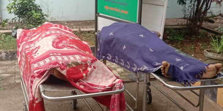 saraikela-big-news-सरायकेला-खरसावां में बड़ी घटना, एक जहरीले सांप ने दो लोगो को एक साथ काटा, दोनों की मौत saraikela-big-news-सरायकेला-खरसावां में बड़ी घटना, एक जहरीले सांप ने दो लोगो को एक साथ काटा, दोनों की मौत