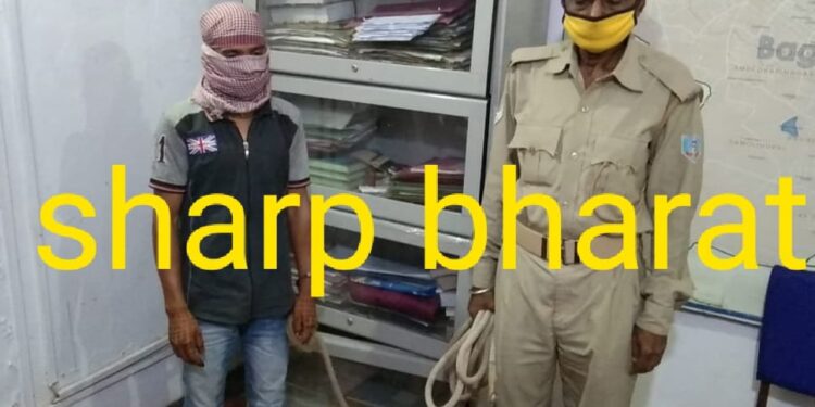 jamshedpur-crime-जुगसलाई का दानिश गिरफ्तार, बागबेड़ा की नाबालिग के साथ किया था शारीरिक शोषण jamshedpur-crime-जुगसलाई का दानिश गिरफ्तार, बागबेड़ा की नाबालिग के साथ किया था शारीरिक शोषण