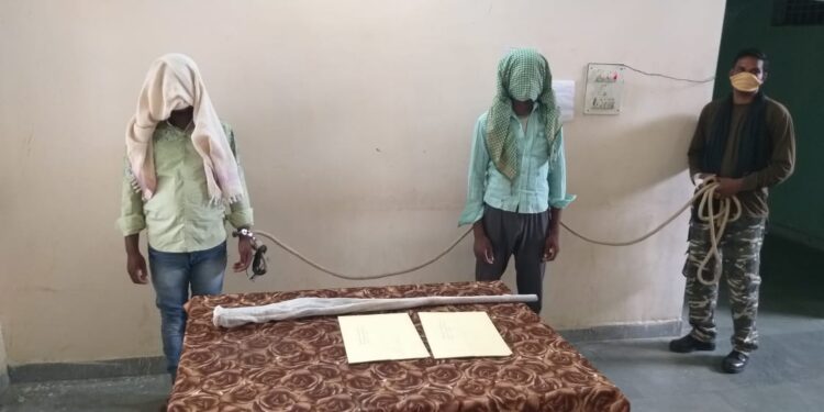 west-singhbhum-two-naxalites-arrested : चाईबासा पुलिस को मिली बड़ी सफलता, संवेदकों से लेवी वसूलने वाले पीएलएफआई के दो नक्सली गिरफ्तार, देसी कट्टा समेत कई सामान बरामद west-singhbhum-two-naxalites-arrested : चाईबासा पुलिस को मिली बड़ी सफलता, संवेदकों से लेवी वसूलने वाले पीएलएफआई के दो नक्सली गिरफ्तार, देसी कट्टा समेत कई सामान बरामद