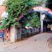 jamshedpur-police-action-बकरीद में प्रतिबंधित मांस के दो कारोबारी बिष्टुपुर से गिरफ्तार, पुलिस ने दिखाई सख्ती-video jamshedpur-police-action-बकरीद में प्रतिबंधित मांस के दो कारोबारी बिष्टुपुर से गिरफ्तार, पुलिस ने दिखाई सख्ती-video