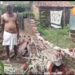 saraikela-farmers-problem-सरायकेला-खरसावां के किसानों की बढ़ी मुश्किलें, हाथियों के तांडव से सैकड़ों एकड़ खेत बरबाद saraikela-farmers-problem-सरायकेला-खरसावां के किसानों की बढ़ी मुश्किलें, हाथियों के तांडव से सैकड़ों एकड़ खेत बरबाद