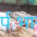jamshedpur-suicide-case-जमशेदपुर में बाप और बेटे के आत्महत्या के मामले में जुगसलाई के ससुरालवालों पर आपराधिक मुकदमा दर्ज, होगी गिरफ्तारी jamshedpur-suicide-case-जमशेदपुर में बाप और बेटे के आत्महत्या के मामले में जुगसलाई के ससुरालवालों पर आपराधिक मुकदमा दर्ज, होगी गिरफ्तारी