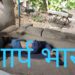 jamshedpur-morning-murder-सीतारामडेरा में पत्थरों से कूचकर युवक की हत्या, लहूलुहान शव बरामद, इलाके में सनसनी jamshedpur-morning-murder-सीतारामडेरा में पत्थरों से कूचकर युवक की हत्या, लहूलुहान शव बरामद, इलाके में सनसनी