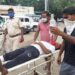 jamshedpur-morning-crime-सोनारी में सुबह-सुबह अपराधियों ने की लूटपाट, युवक को मारी गोली, सनसनी