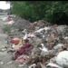 Adityapur : आदित्यपुर नगर निगम के लिए जी का जंजाल बनता जा रहा है क्षेत्र में फैला कचरा, टीपर व ट्रैक्टर चालक जहां-तहां फेंक रहे कचरा, एक ट्रैक्टर चालक को लोगों ने पकड़ा, चेतावनी देकर छोड़ा