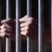 Jamshedpur-Crime : :मानगो बाजार में सिक्यूरिटी गार्ड की हत्या मामले में नामजद आरोपी भी गिरफ्तार, आपसी रंजिश की वजह से पीटकर की गई थी हत्या Jamshedpur-Crime : :मानगो बाजार में सिक्यूरिटी गार्ड की हत्या मामले में नामजद आरोपी भी गिरफ्तार, आपसी रंजिश की वजह से पीटकर की गई थी हत्या