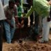 jamshedpur-rural-घाटशिला के महुलिया गांव में मिश्रित आम बागवानी योजना के तहत विधायक रामदास सोरेन ने आम के पौधे लगाए jamshedpur-rural-घाटशिला के महुलिया गांव में मिश्रित आम बागवानी योजना के तहत विधायक रामदास सोरेन ने आम के पौधे लगाए