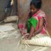 jamshedpur-rural- चाकुलिया के सरडीहा माहली टोला के 40 परिवार बांस पर है निर्भर, आजीविका का आधार है बांस से बनी वस्तुएं jamshedpur-rural- चाकुलिया के सरडीहा माहली टोला के 40 परिवार बांस पर है निर्भर, आजीविका का आधार है बांस से बनी वस्तुएं