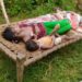 jamshedpur-rural-police-success-जमशेदपुर के ग्रामीण इलाके में लूटपाट करने और फायरिंग मामले में कई अपराधी गिरफ्तार, एक देशी कट्टा बरामद, कदमा लूटकांड समेत कई मामले में फरार थे अपराधी jamshedpur-rural-police-success-जमशेदपुर के ग्रामीण इलाके में लूटपाट करने और फायरिंग मामले में कई अपराधी गिरफ्तार, एक देशी कट्टा बरामद, कदमा लूटकांड समेत कई मामले में फरार थे अपराधी