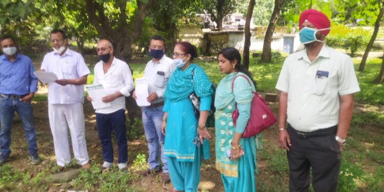 Jamshedpur : पंचायत चुनाव को लेकर डीसी ऑफिस पहुंचा जदयू, त्रिस्तरीय पंचायत चुनाव कराने समेत पढ़ाई नहीं तो फीस नहीं व लॉकडाउन अवधि का बिजली बिल माफ करने की मांग Jamshedpur : पंचायत चुनाव को लेकर डीसी ऑफिस पहुंचा जदयू, त्रिस्तरीय पंचायत चुनाव कराने समेत पढ़ाई नहीं तो फीस नहीं व लॉकडाउन अवधि का बिजली बिल माफ करने की मांग