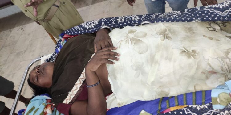 West-singhbhum-road-accident : टेम्पो पलटी, टोंटो हाट से सब्जी बेच कर लौट रही महिला गंभीर रूप से घायल, जमशेदपुर रेफर West-singhbhum-road-accident : टेम्पो पलटी, टोंटो हाट से सब्जी बेच कर लौट रही महिला गंभीर रूप से घायल, जमशेदपुर रेफर