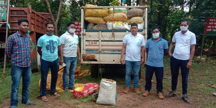 west-singhbhum-वन विभाग टीम ने अगरबत्ती बनाने वाली पांच लाख रुपए की लकड़ी और वाहन को किया जब्त, लकड़ी माफियाओं के खिलाफ कार्रवाई में जुटा वन विभाग