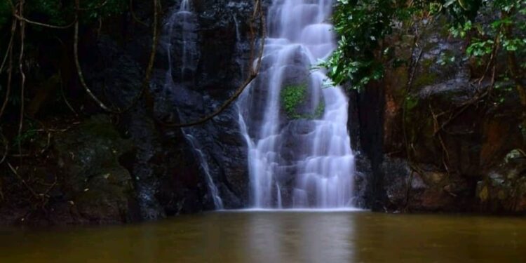 west-singhbhum-सारंडा जंगल को बगैर छेड़छाड़ किए पर्यटक स्थल के रूप में विकसित करने की कवायद में जुटा वन विभाग व जिला प्रशासन, रोजगार के अवसर होंगे सृजित west-singhbhum-सारंडा जंगल को बगैर छेड़छाड़ किए पर्यटक स्थल के रूप में विकसित करने की कवायद में जुटा वन विभाग व जिला प्रशासन, रोजगार के अवसर होंगे सृजित