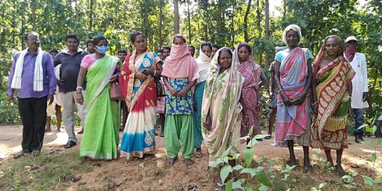 jamshedpur-rural-गुड़ाबांदा में वन सुरक्षा समिति की हुई बैठक, जंगल सुरक्षित रखने का लिया संकल्प