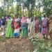jamshedpur-rural-गुड़ाबांदा में वन सुरक्षा समिति की हुई बैठक, जंगल सुरक्षित रखने का लिया संकल्प