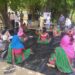 jamshedpur- rural- एनइपी निदेशक सह वरीय पदाधिकारी ज्योत्सना सिंह ने दीदी बाड़ी योजना का किया शुभारंभ