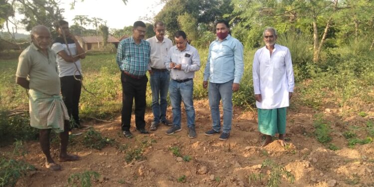 jamshedpur-rural-जिला कृषि पदाधिकारी ने जोभी गांव का दौरा कर सूख रहे टमाटर के पौधों का जायजा लिया, किसानों को उचित मार्गदर्शन दिया