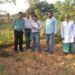 jamshedpur-rural-जिला कृषि पदाधिकारी ने जोभी गांव का दौरा कर सूख रहे टमाटर के पौधों का जायजा लिया, किसानों को उचित मार्गदर्शन दिया jamshedpur-rural-जिला कृषि पदाधिकारी ने जोभी गांव का दौरा कर सूख रहे टमाटर के पौधों का जायजा लिया, किसानों को उचित मार्गदर्शन दिया