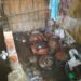 Jamshedpur-rural : बासाडीहा के खड़ियाडांगा टोला में अवैध देशी शराब भट्ठी को पुलिस ने किया ध्वस्त, 20 लीटर शराब जब्त