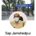 Jamshedpur : शैंकी यादव की ही तरह उसके भाई व परिजनों को भी मार देने की धमकी, एसएसपी से मिले शैंकी की परिजन, शिकायत व बचे हुए तीन आरोपियों को भी जल्द गिरफ्तार करने की मांग Jamshedpur : शैंकी यादव की ही तरह उसके भाई व परिजनों को भी मार देने की धमकी, एसएसपी से मिले शैंकी की परिजन, शिकायत व बचे हुए तीन आरोपियों को भी जल्द गिरफ्तार करने की मांग