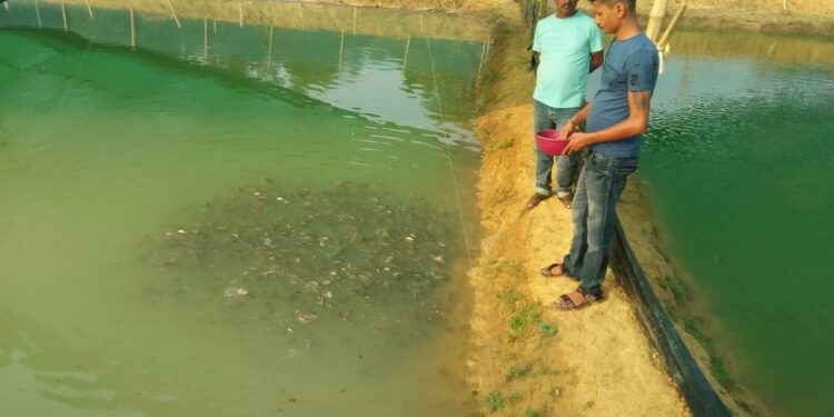 jamshedpur-rural-चिंयाबांधी में भूमि की उपयोगिता के अनुसार इंट्रिग्रेटेड फॉर्मिंग के बारे में किसानों को किया गया जागरुक, कहीं मछली पालन तो कहीं हरी सब्जियों की खेती jamshedpur-rural-चिंयाबांधी में भूमि की उपयोगिता के अनुसार इंट्रिग्रेटेड फॉर्मिंग के बारे में किसानों को किया गया जागरुक, कहीं मछली पालन तो कहीं हरी सब्जियों की खेती