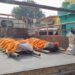 adityapur-family-death-आदित्यपुर में एक साथ आयी चार लाशों को देख हर कोई रो पड़ा, सहम गया, सिसकती और चित्कार की आवाज से गमजदा हुआ आदित्यपुर, अकेला टाटा स्टील कर्मचारी बचे, पत्नी, बेटे और बेटी को दी मुखाग्नि, उजड़ गया परिवार adityapur-family-death-आदित्यपुर में एक साथ आयी चार लाशों को देख हर कोई रो पड़ा, सहम गया, सिसकती और चित्कार की आवाज से गमजदा हुआ आदित्यपुर, अकेला टाटा स्टील कर्मचारी बचे, पत्नी, बेटे और बेटी को दी मुखाग्नि, उजड़ गया परिवार