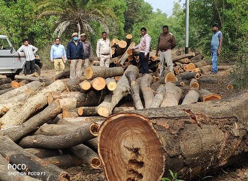 Jamshedpur-rural : हाथियों के उत्पात से त्रस्त ग्रामीण डीएफओ से मिले, मुआवजा व सुरक्षा की रखी मांग Jamshedpur-rural : हाथियों के उत्पात से त्रस्त ग्रामीण डीएफओ से मिले, मुआवजा व सुरक्षा की रखी मांग